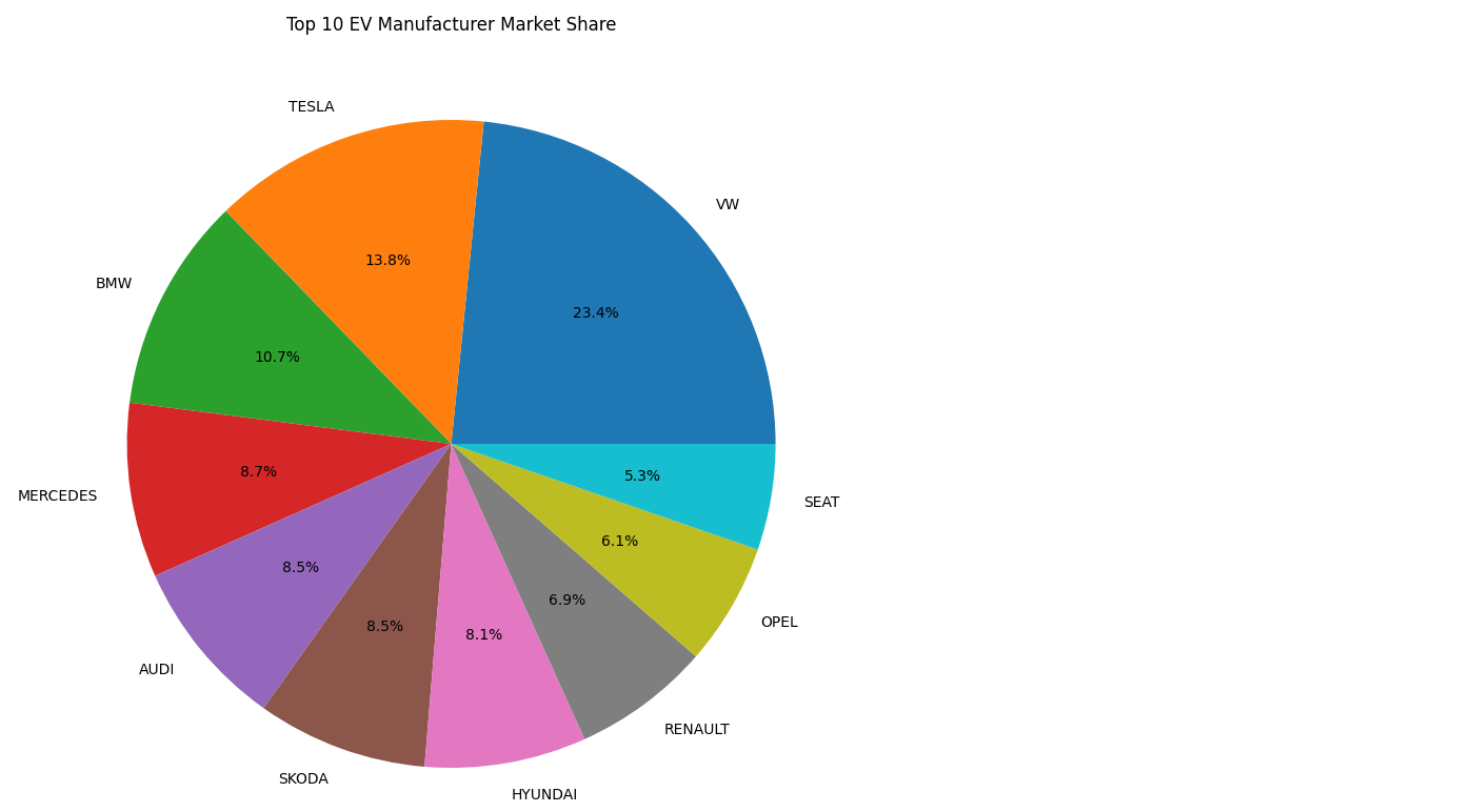 EV manufacturer market share