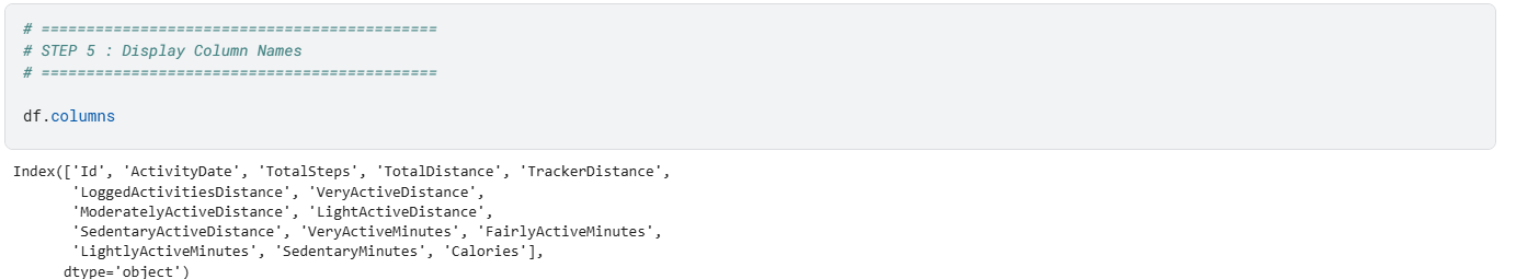 Dataset column names